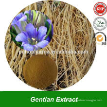 Natural Herb Gentian Root Extract Powder Extract of Gentiana Scabra Bge